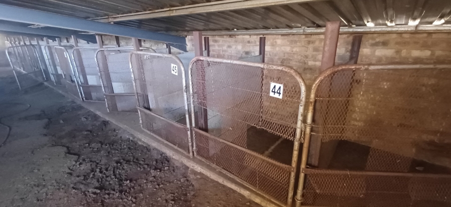 3 Bedroom Property for Sale in Klerksdorp Rural North West